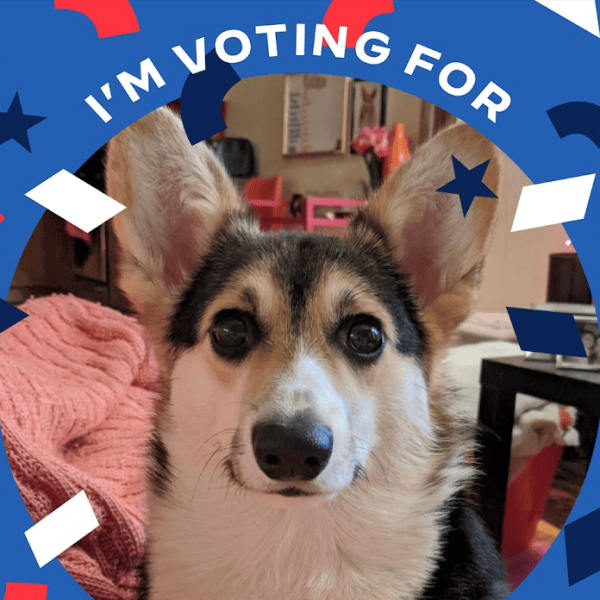 Vote “No” on Constitutional&nbsp;Amendments